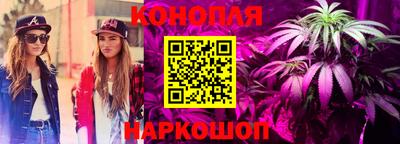 ешки Камышлов