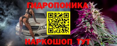 сатива Канаш