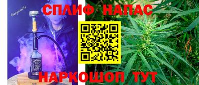 сатива Канаш